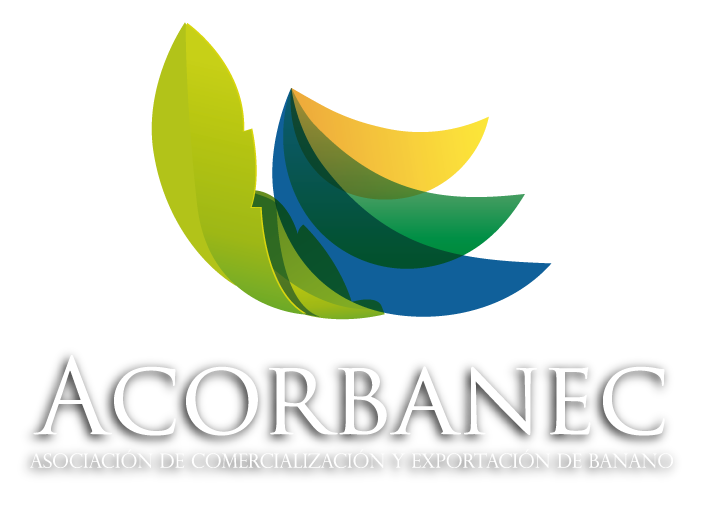 Acorbanec