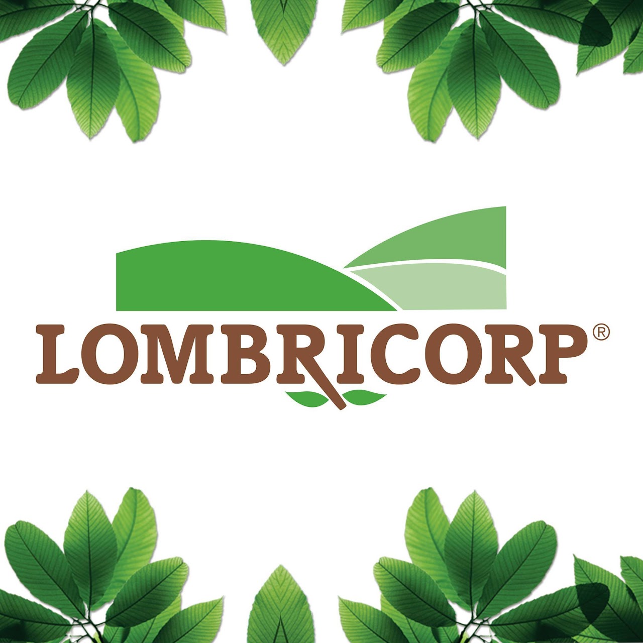 Lombricorp